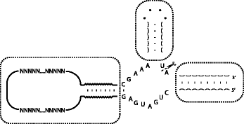 graphic file with name 1758-2946-5-22-i2.gif