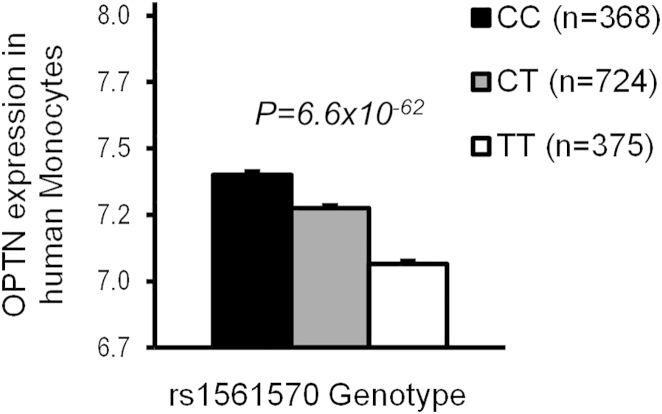 Figure 1