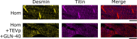 Extended Data Fig. 6