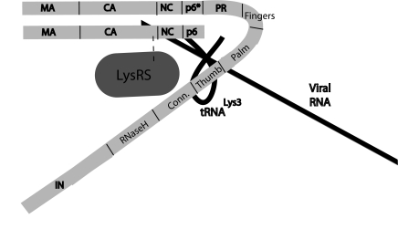 FIG. 7.