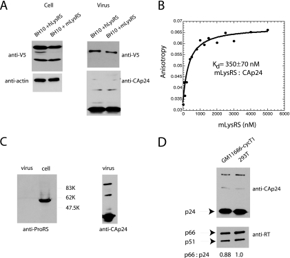 FIG. 6.