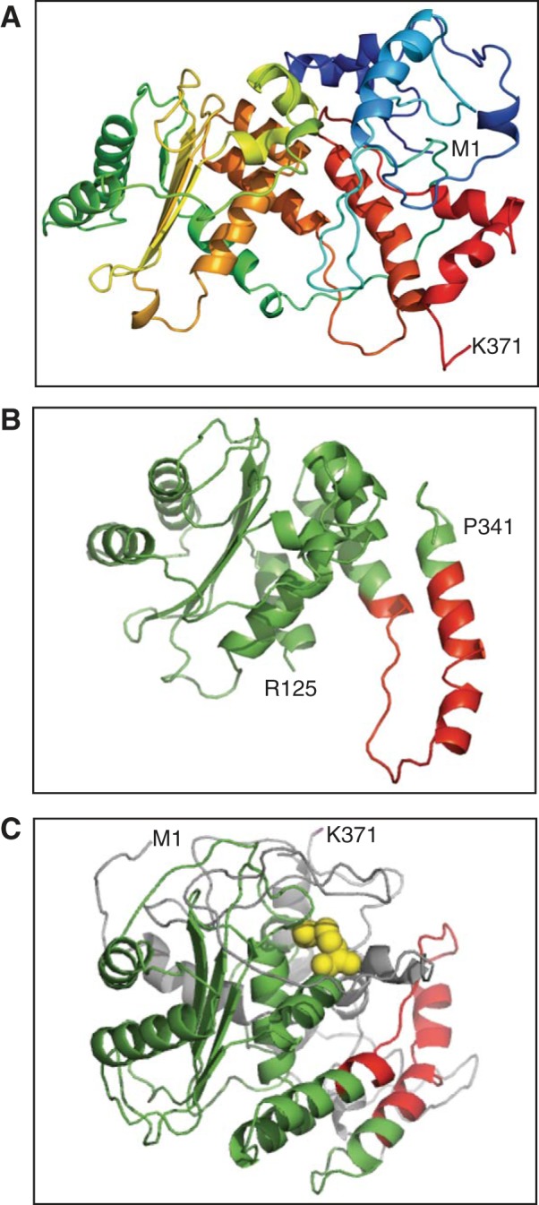 Fig. 4.