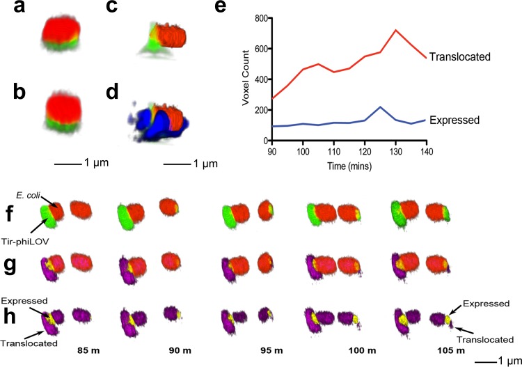 FIG 4