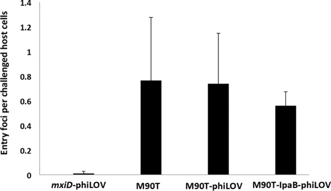 FIG 6