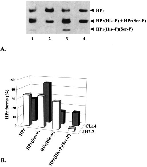 FIG. 5