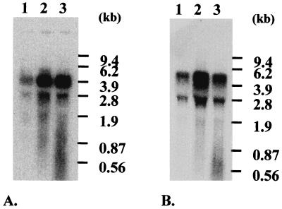 FIG. 6