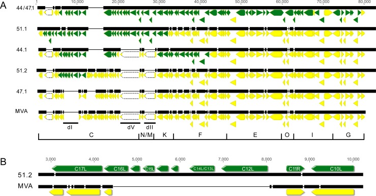 Fig 6