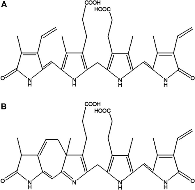 The Effects of Bilirubin and Lumirubin on Metabolic and Oxidative ...