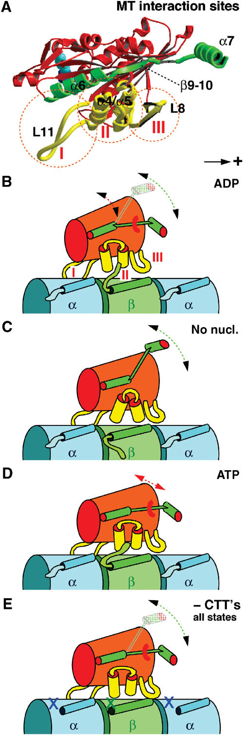 Figure 9