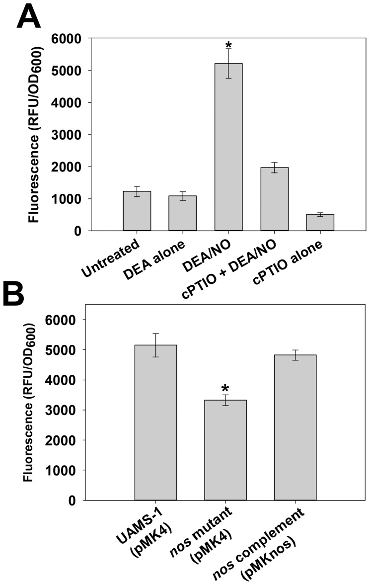 Figure 7