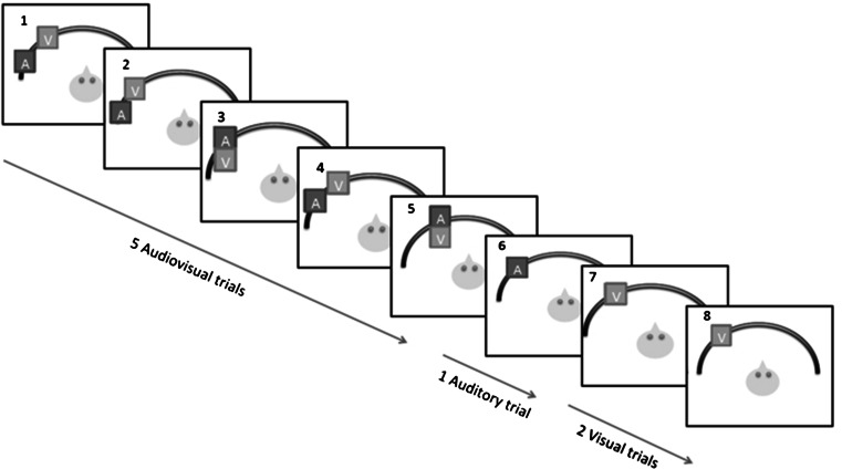 Fig. 1