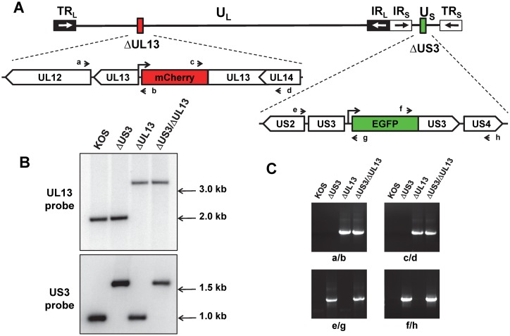 Fig 1