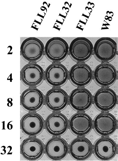 FIG. 10