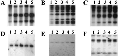 FIG. 11