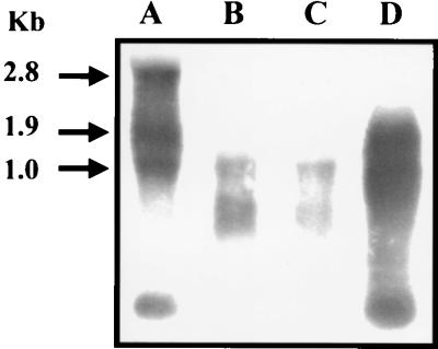 FIG. 5