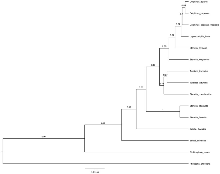 Figure 5