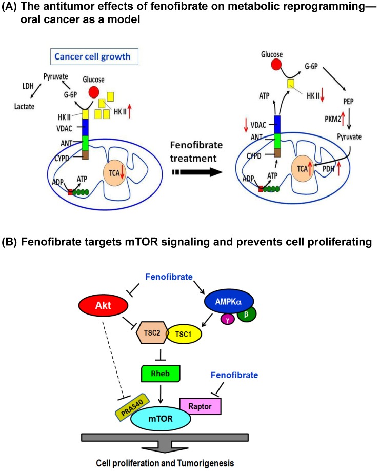 https://cdn.ncbi.nlm.nih.gov/pmc/blobs/9025/4910598/c0ea2eabb17c/ijbsv12p0786g006.jpg