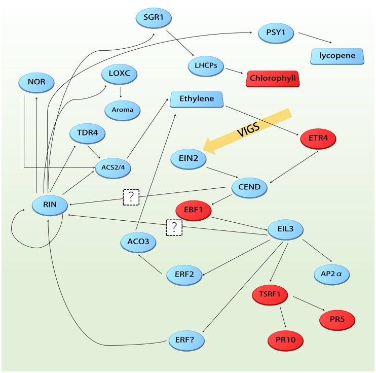 Fig 6