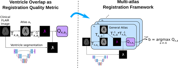 graphic file with name nihms-1587812-f0001.jpg