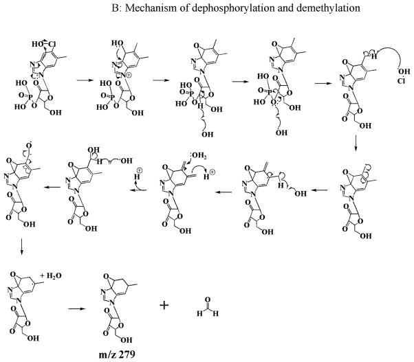 Scheme 2