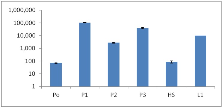 Figure 10