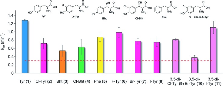 Fig. 3