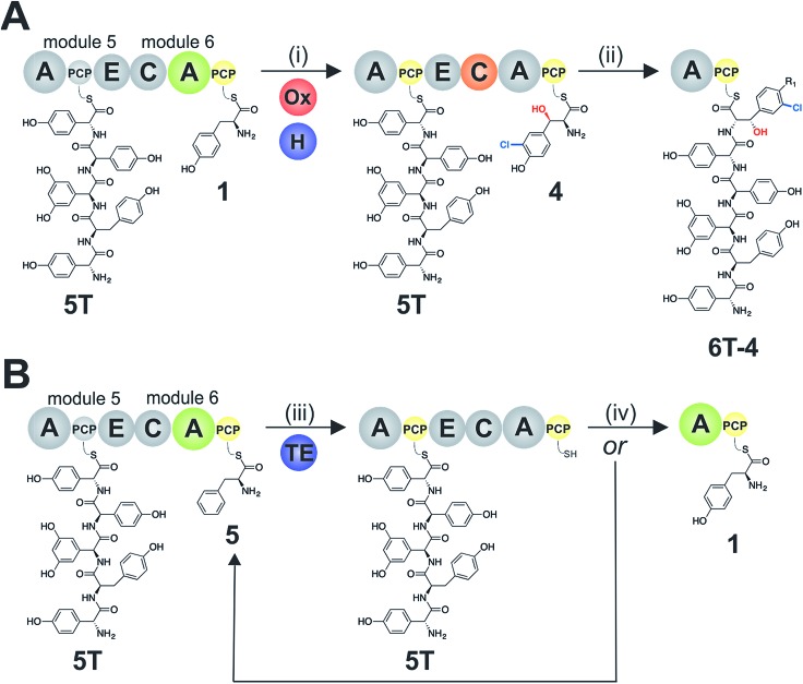 Fig. 9