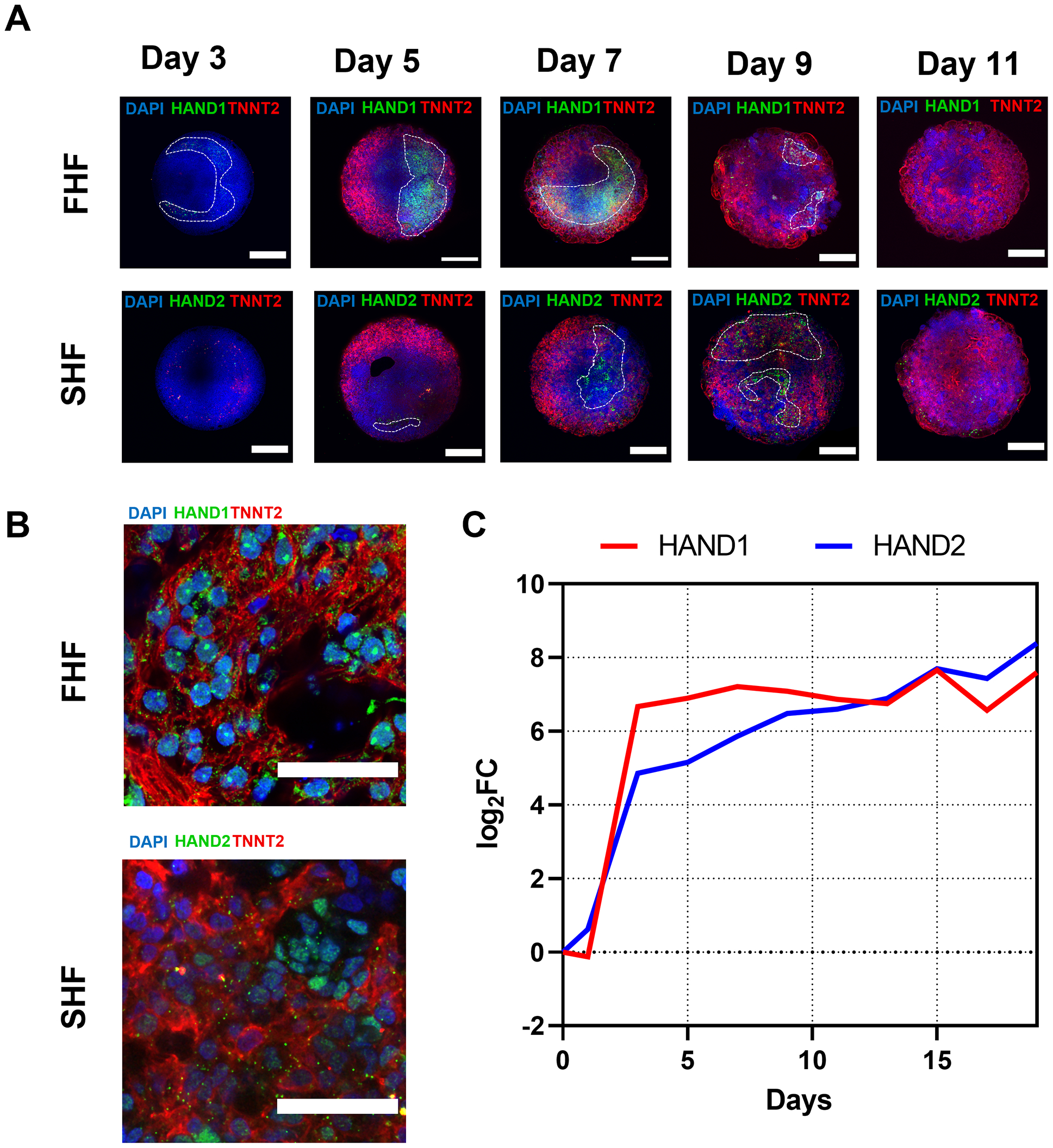 Figure 3: