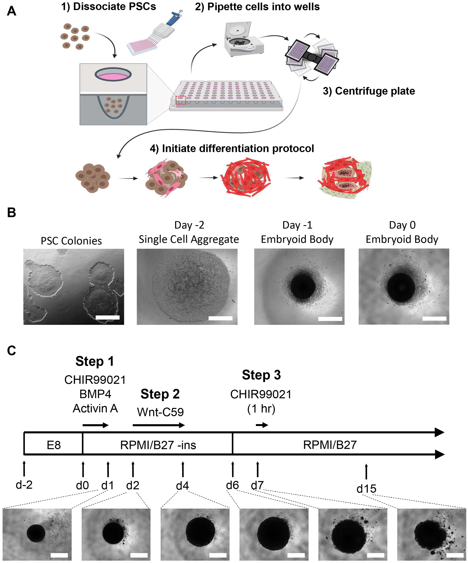 Figure 1: