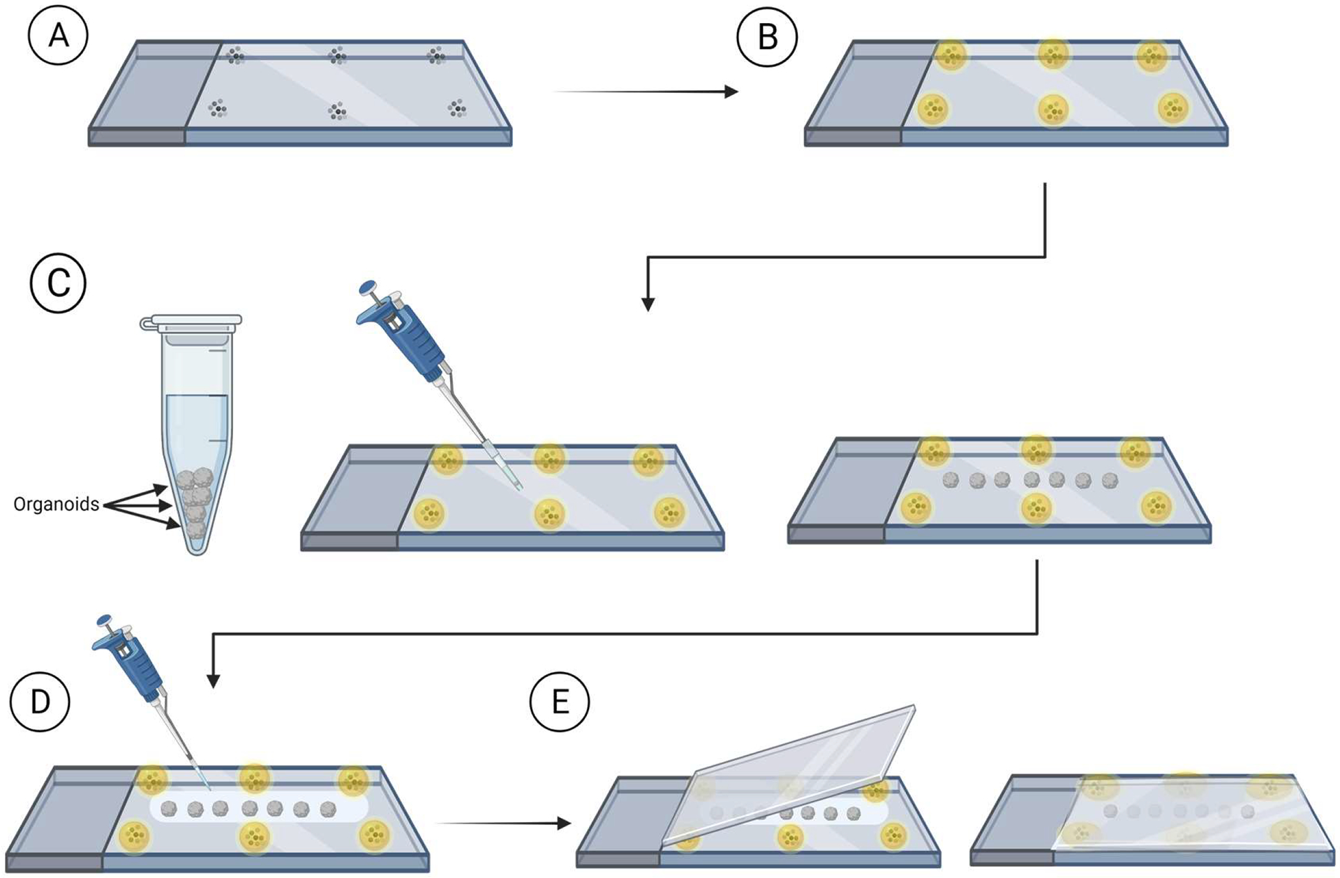 Figure 2: