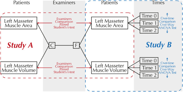 Fig. 3