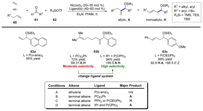 SCHEME 13