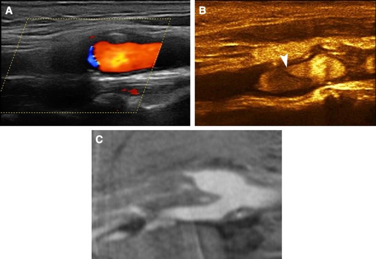 Fig. 7