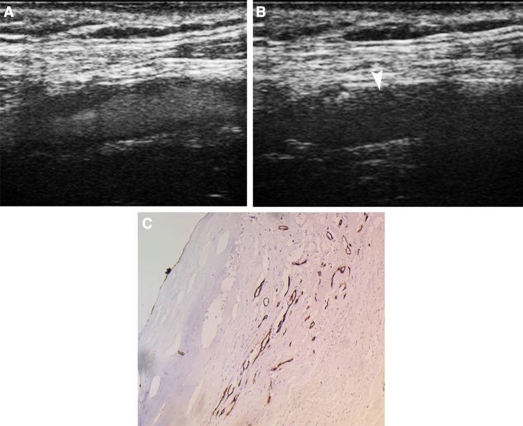 Fig. 6