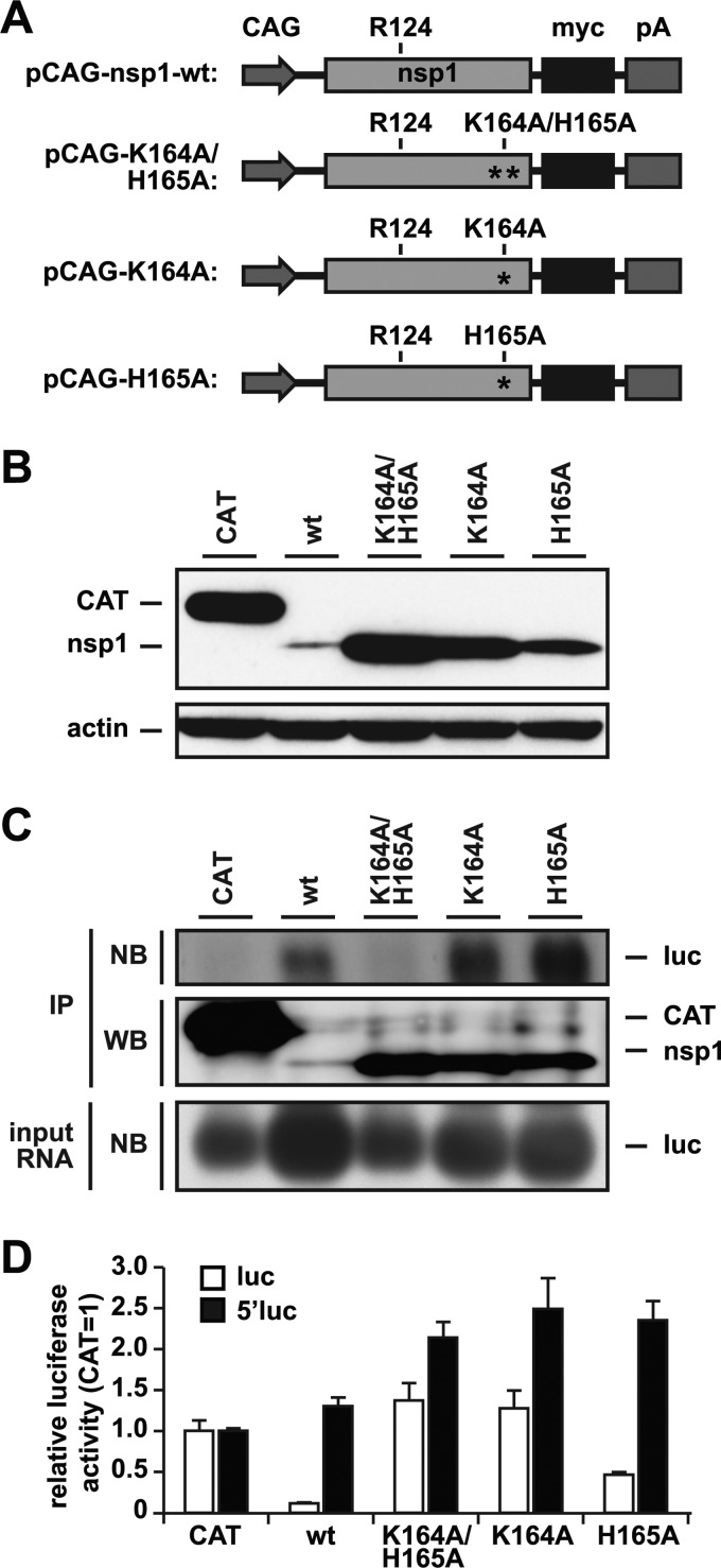 Fig 5