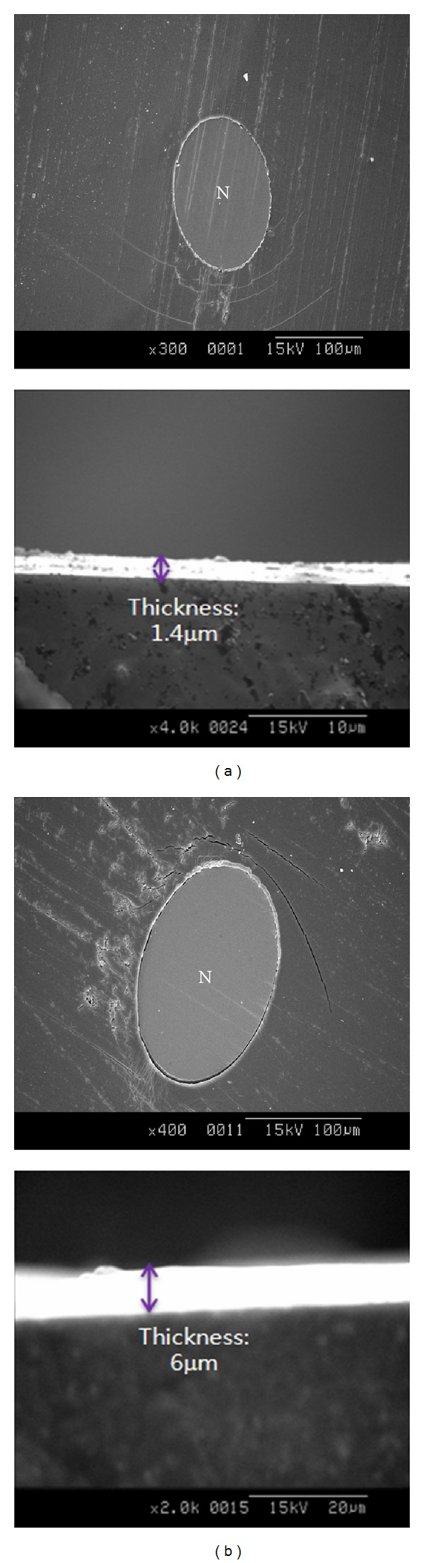 Figure 7