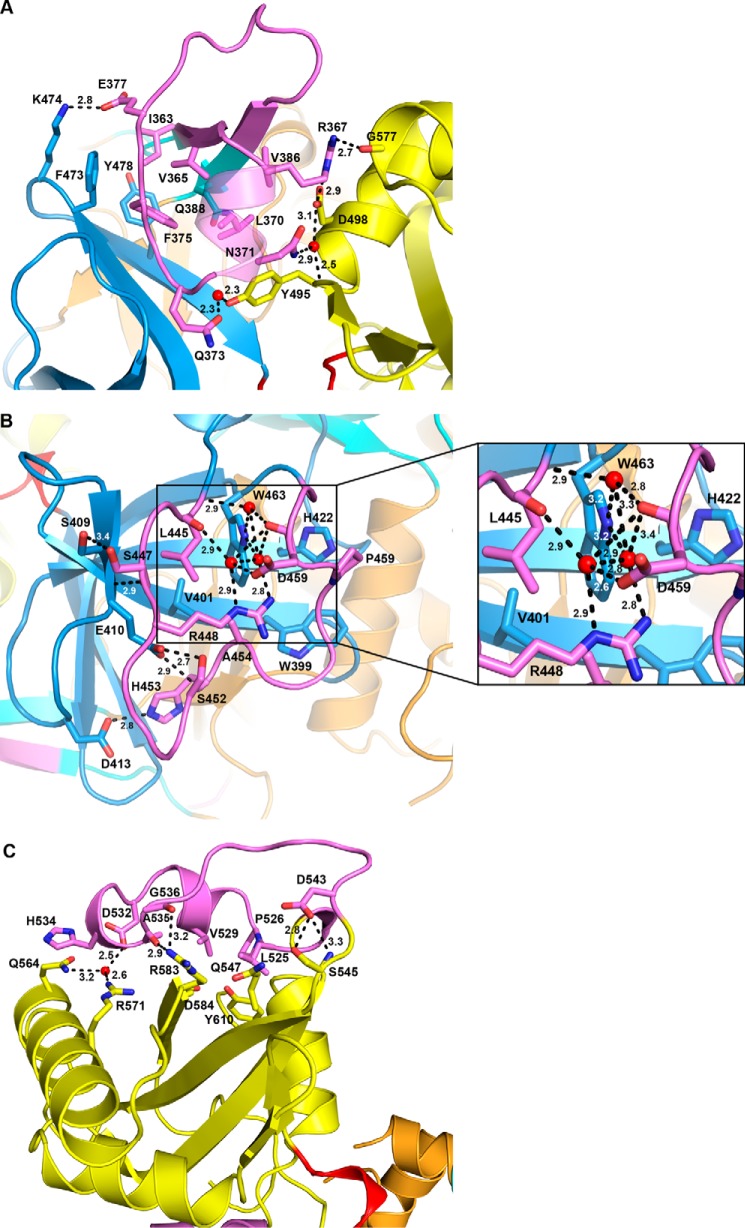 FIGURE 7.