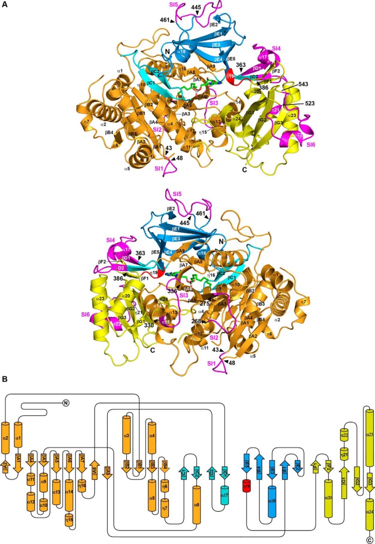 FIGURE 5.