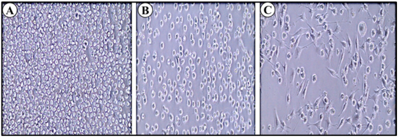 Fig. 9