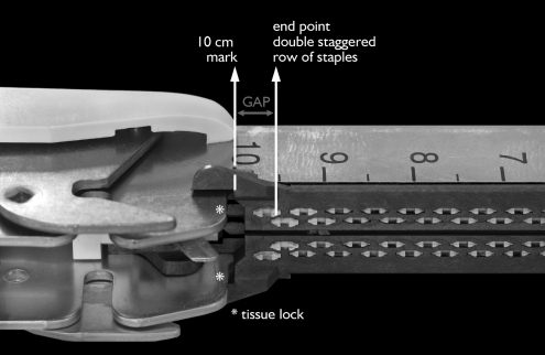 FIGURE 2