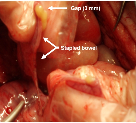 FIGURE 1