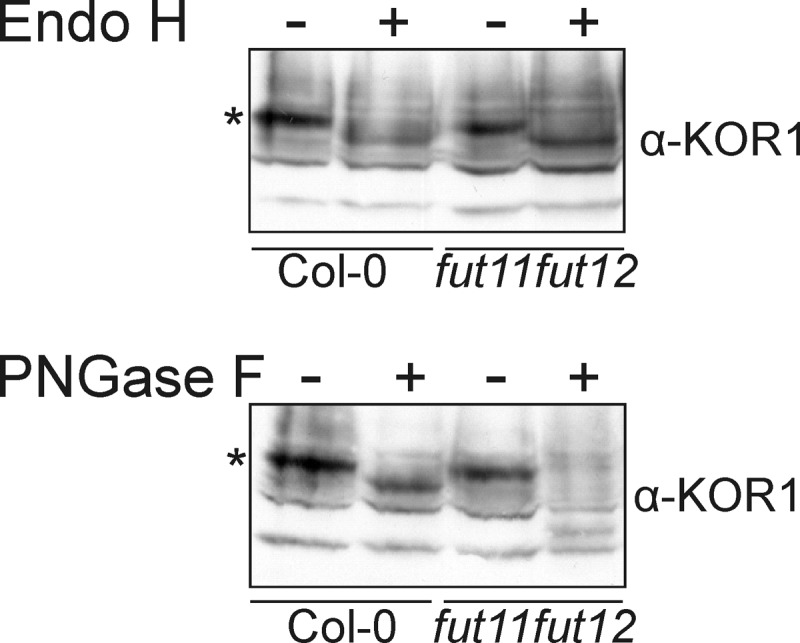 FIGURE 9.