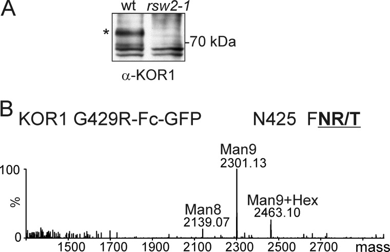 FIGURE 10.