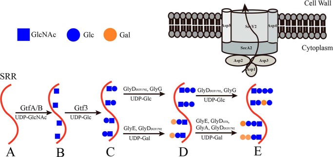 Figure 7.