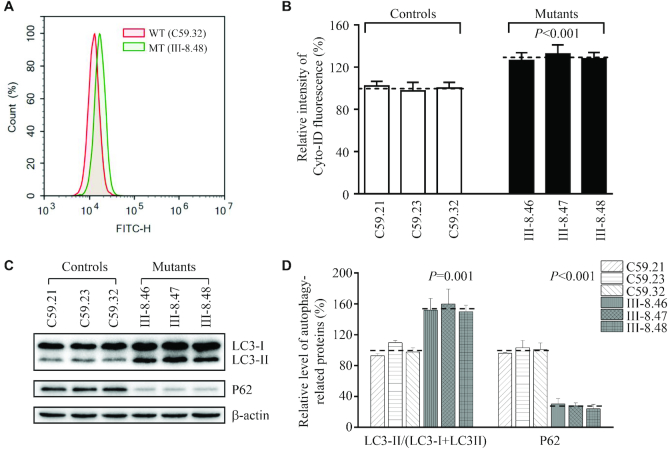 Figure 11.