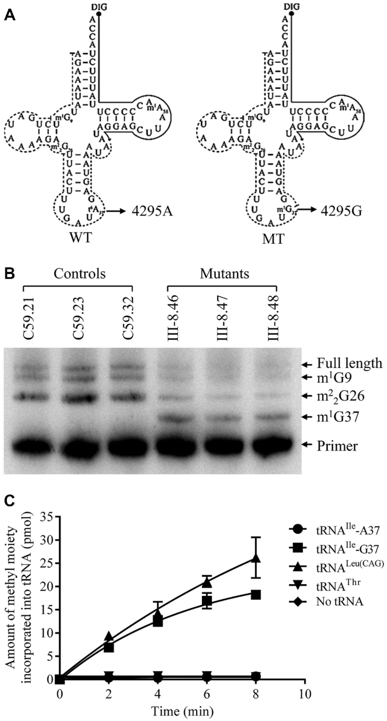 Figure 2.