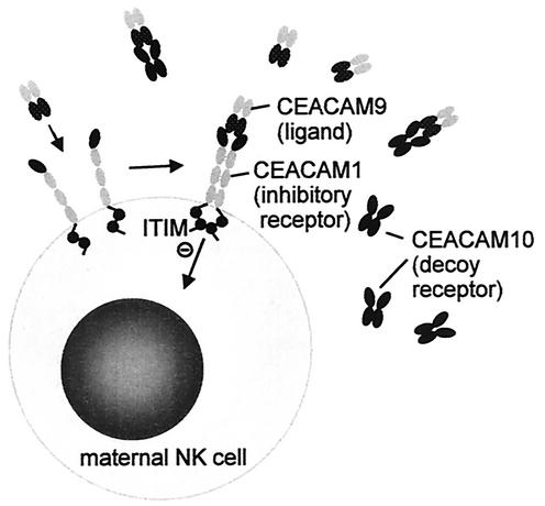 FIG. 3.