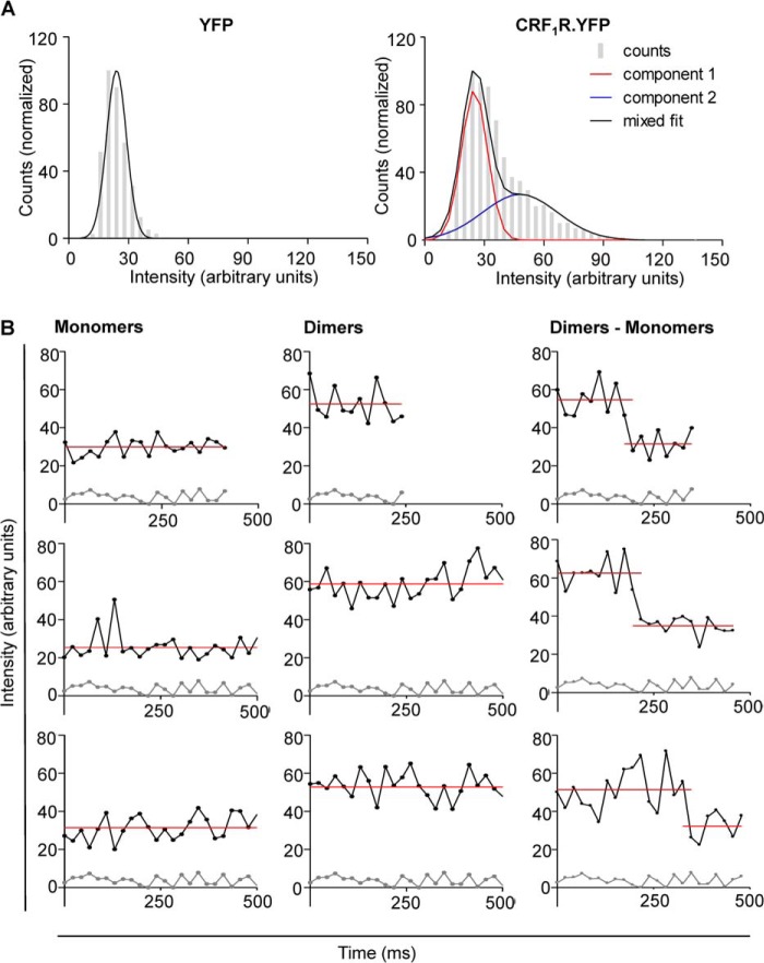 FIGURE 4.