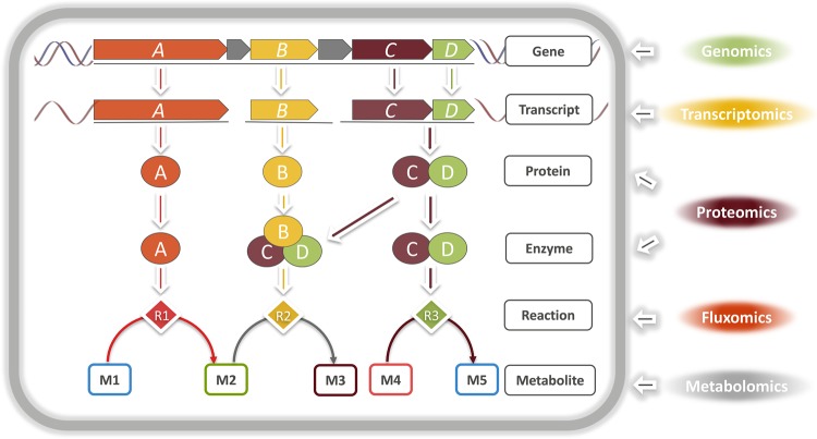 Figure 3.