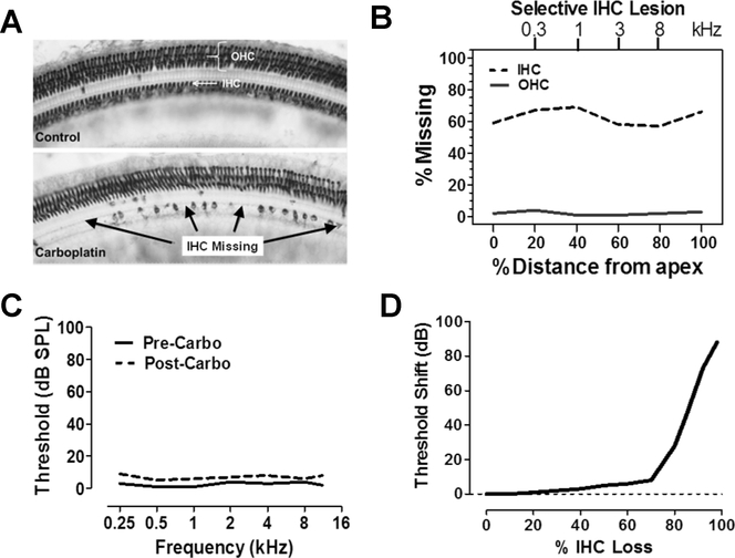 Figure 3: